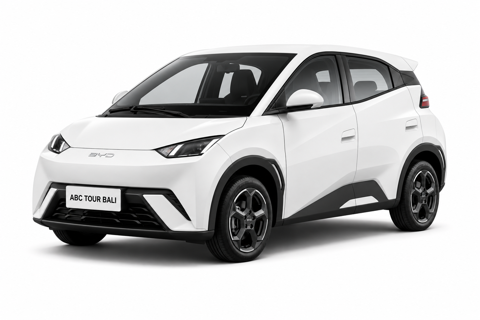 BYD ATTO1 standart