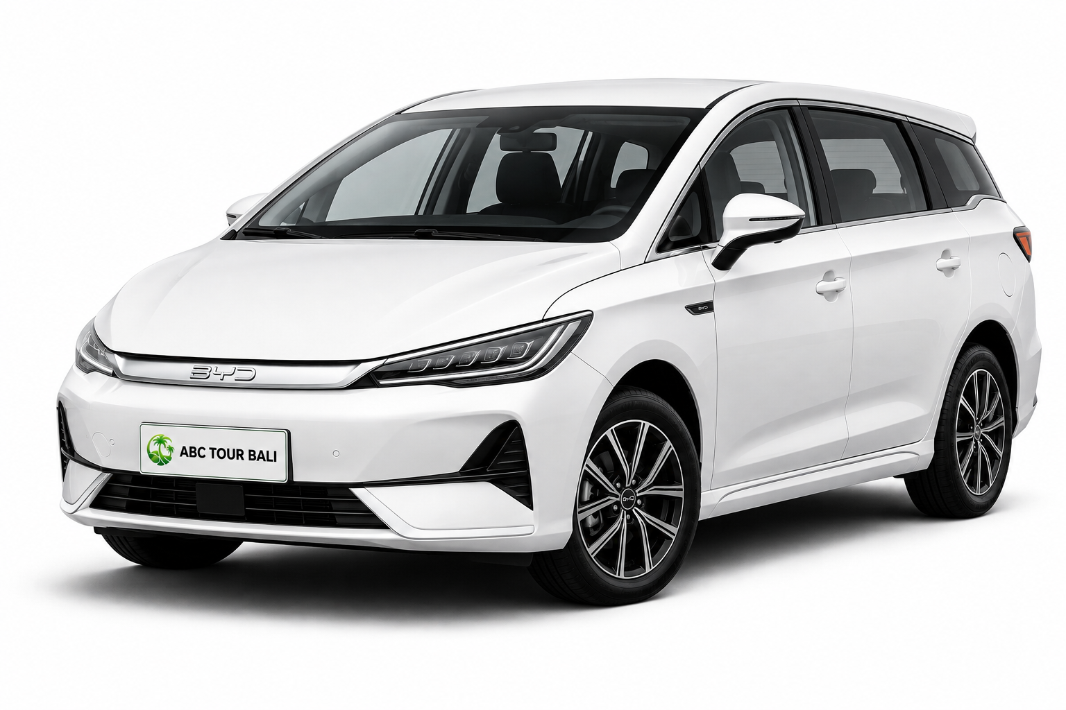 BYD M6